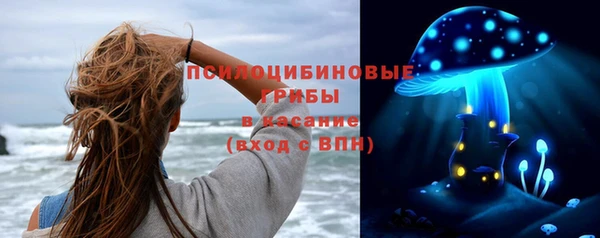крисы Армянск