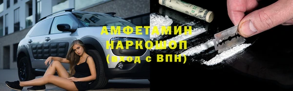 гидра Аркадак