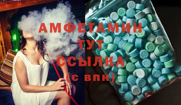 гидра Аркадак