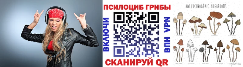 Галлюциногенные грибы прущие грибы  сколько стоит  Тейково 